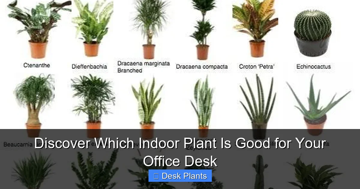 Discover Which Indoor Plant Is Good for Your Office Desk
