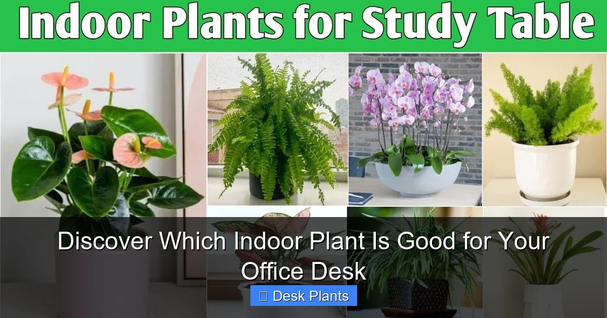 Discover Which Indoor Plant Is Good for Your Office Desk