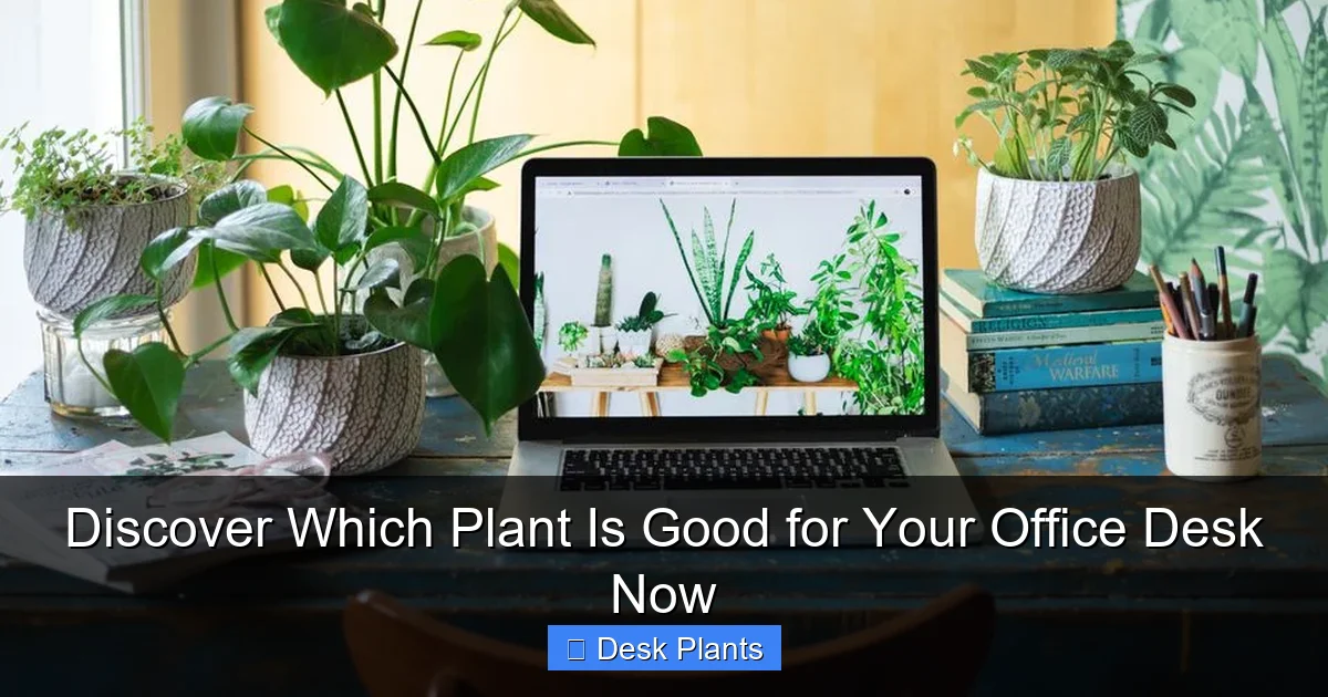 Discover Which Plant Is Good for Your Office Desk Now