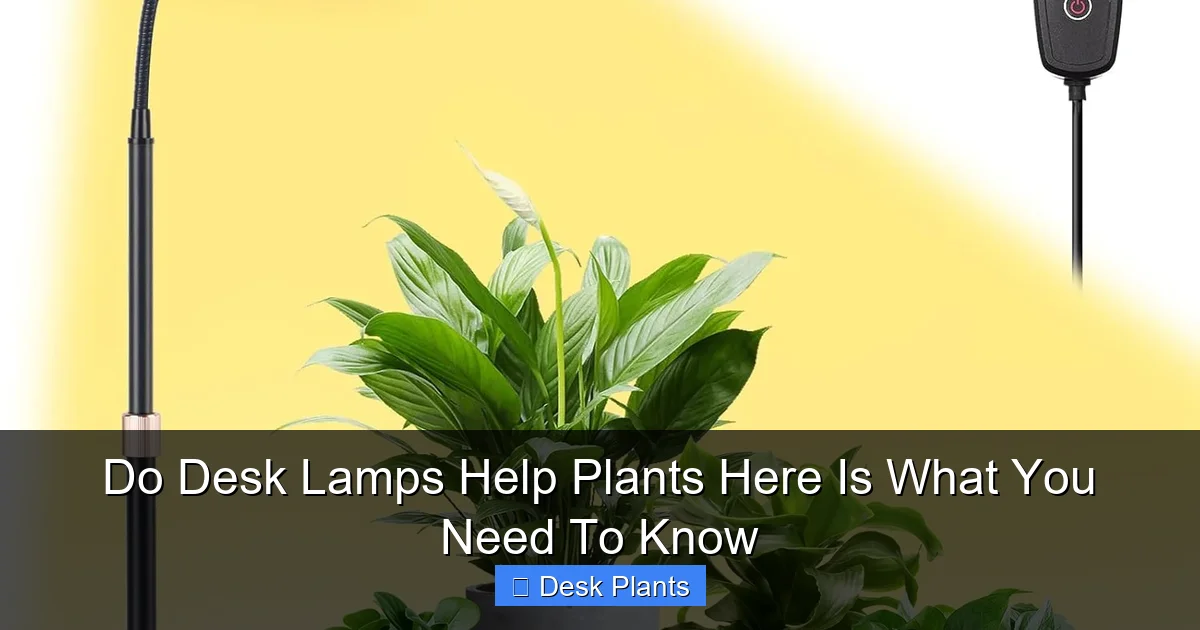 Do Desk Lamps Help Plants Here Is What You Need To Know