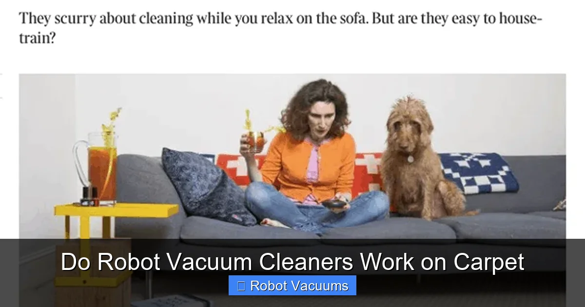 Do Robot Vacuum Cleaners Work on Carpet
