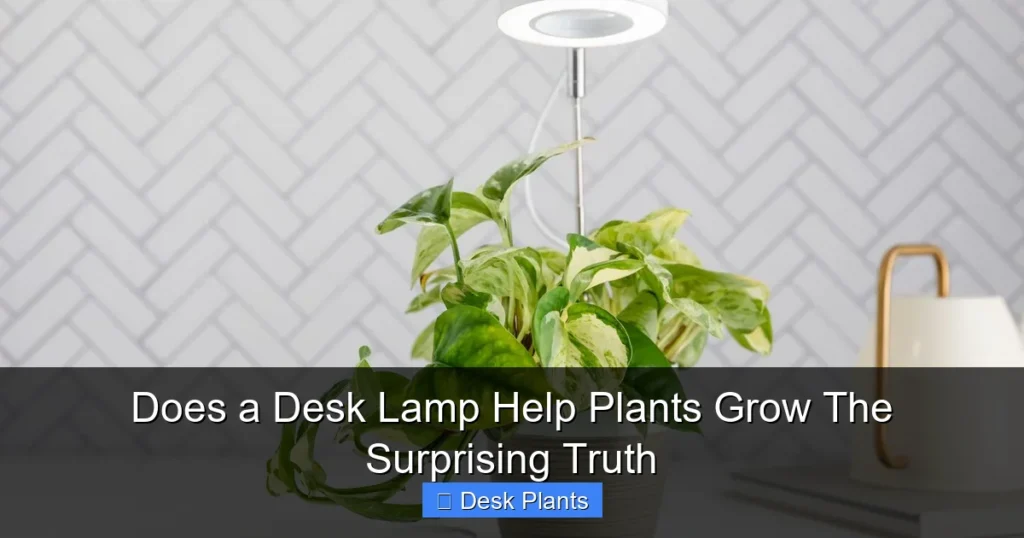 Does a Desk Lamp Help Plants Grow The Surprising Truth