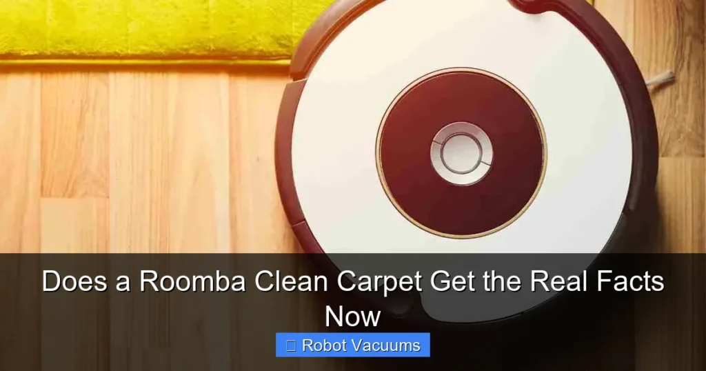 Does a Roomba Clean Carpet Get the Real Facts Now