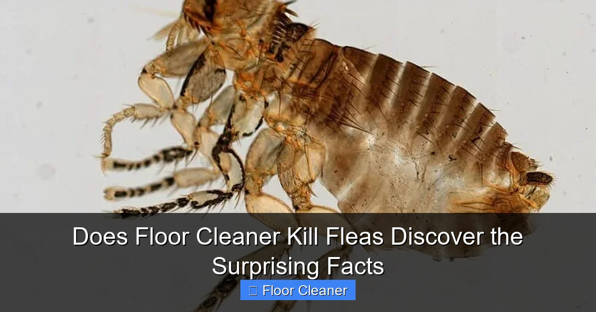 Does Floor Cleaner Kill Fleas Discover the Surprising Facts
