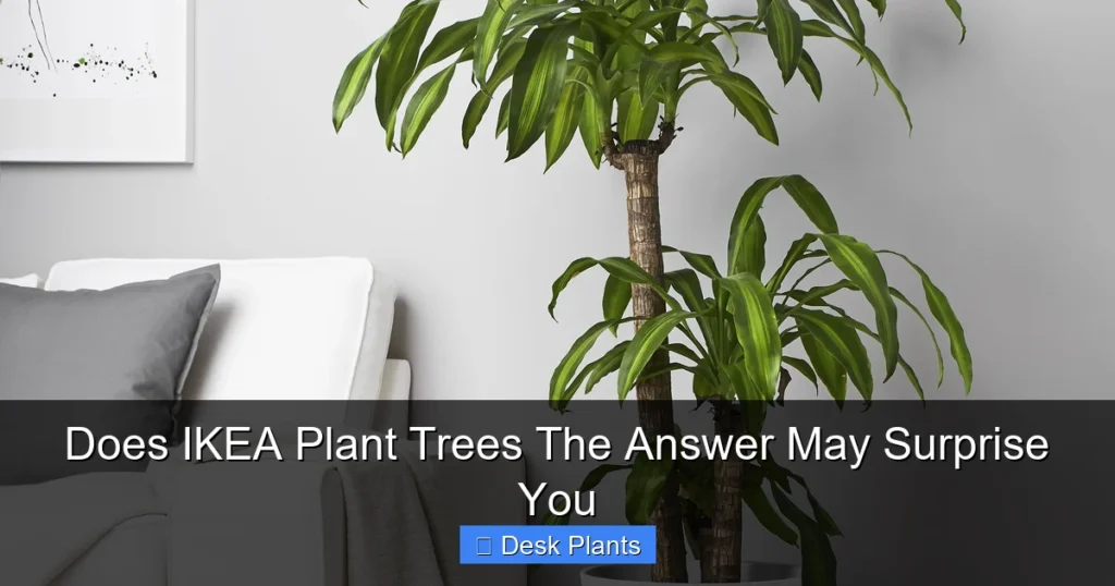 Does IKEA Plant Trees The Answer May Surprise You