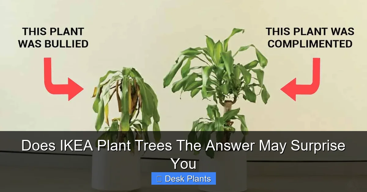 Does IKEA Plant Trees The Answer May Surprise You