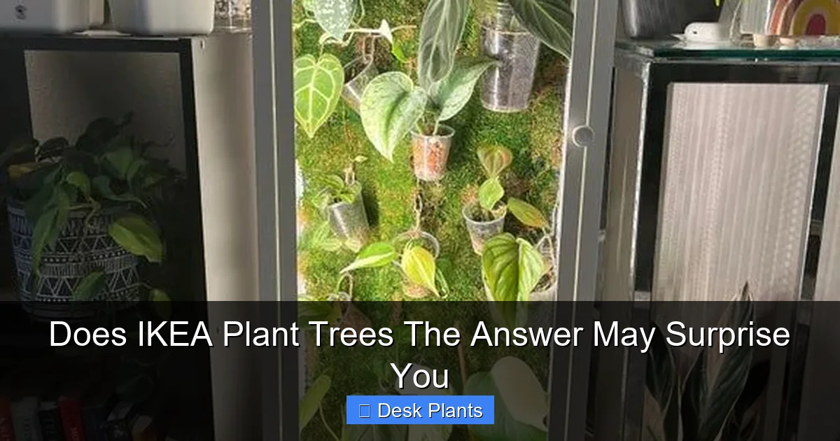 Does IKEA Plant Trees The Answer May Surprise You