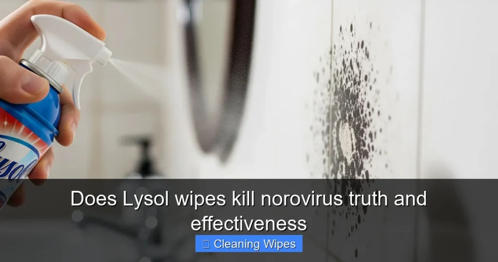 Does Lysol wipes kill norovirus truth and effectiveness