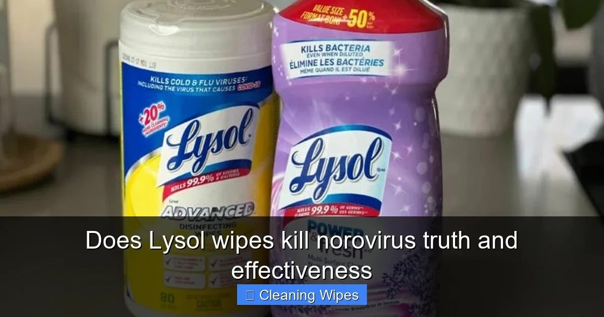 Does Lysol wipes kill norovirus truth and effectiveness