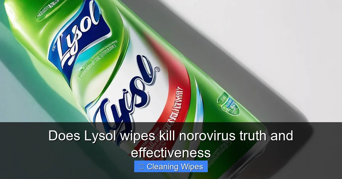 Does Lysol wipes kill norovirus truth and effectiveness