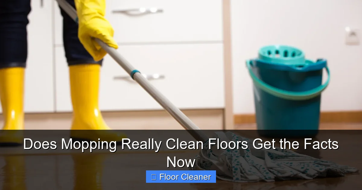 Does Mopping Really Clean Floors Get the Facts Now