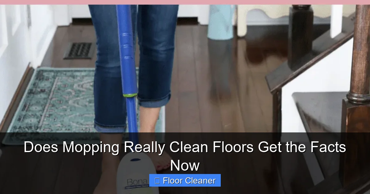 Does Mopping Really Clean Floors Get the Facts Now