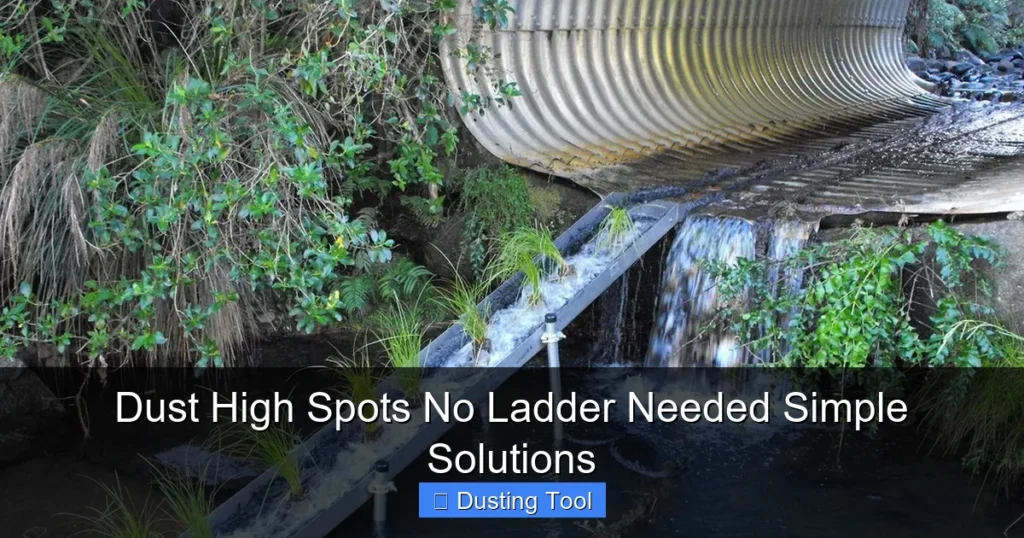 Dust High Spots No Ladder Needed Simple Solutions