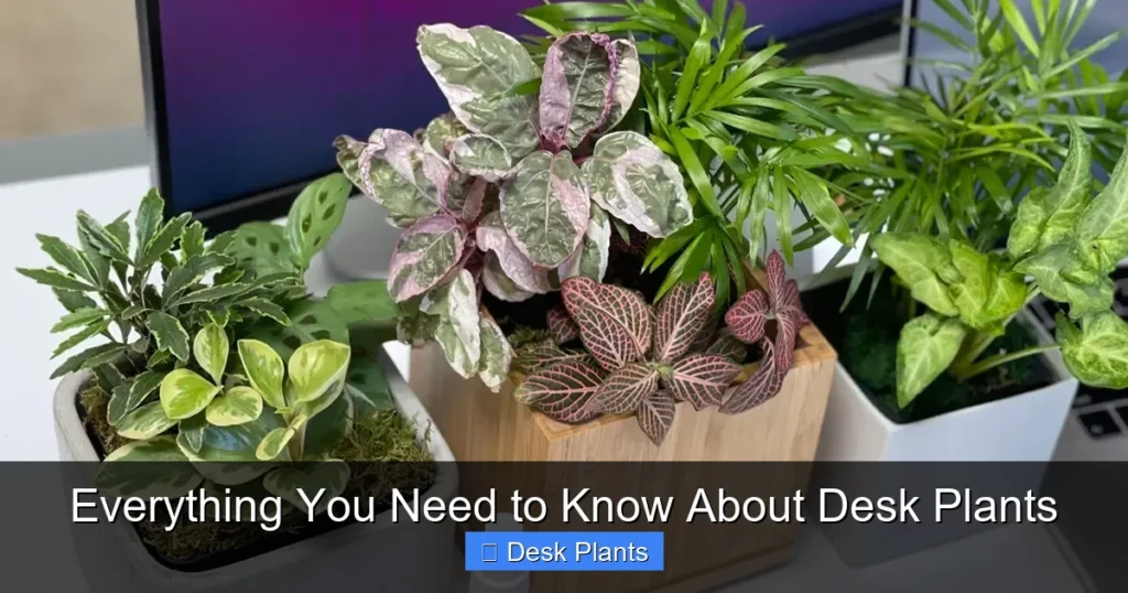 Everything You Need to Know About Desk Plants