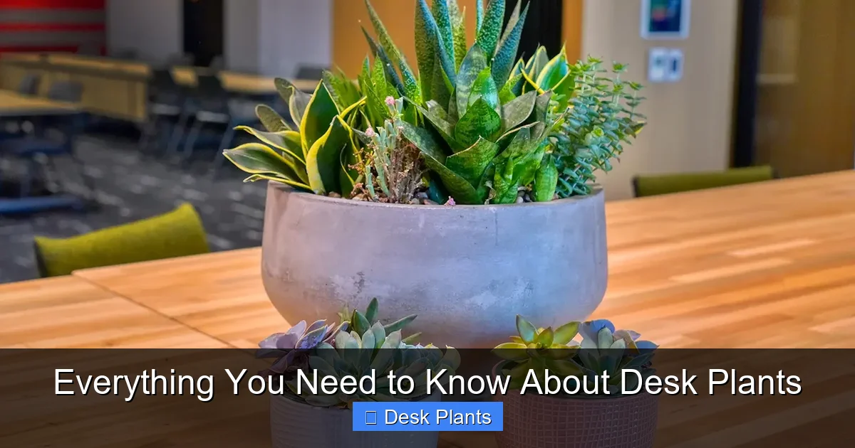 Everything You Need to Know About Desk Plants