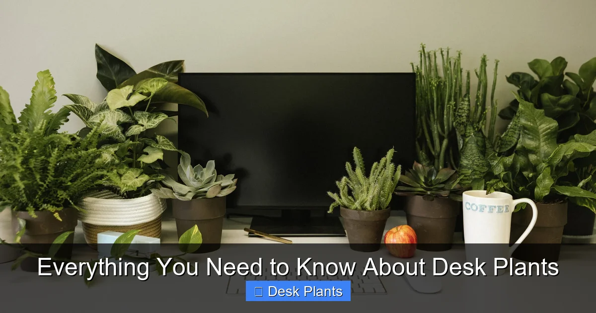 Everything You Need to Know About Desk Plants