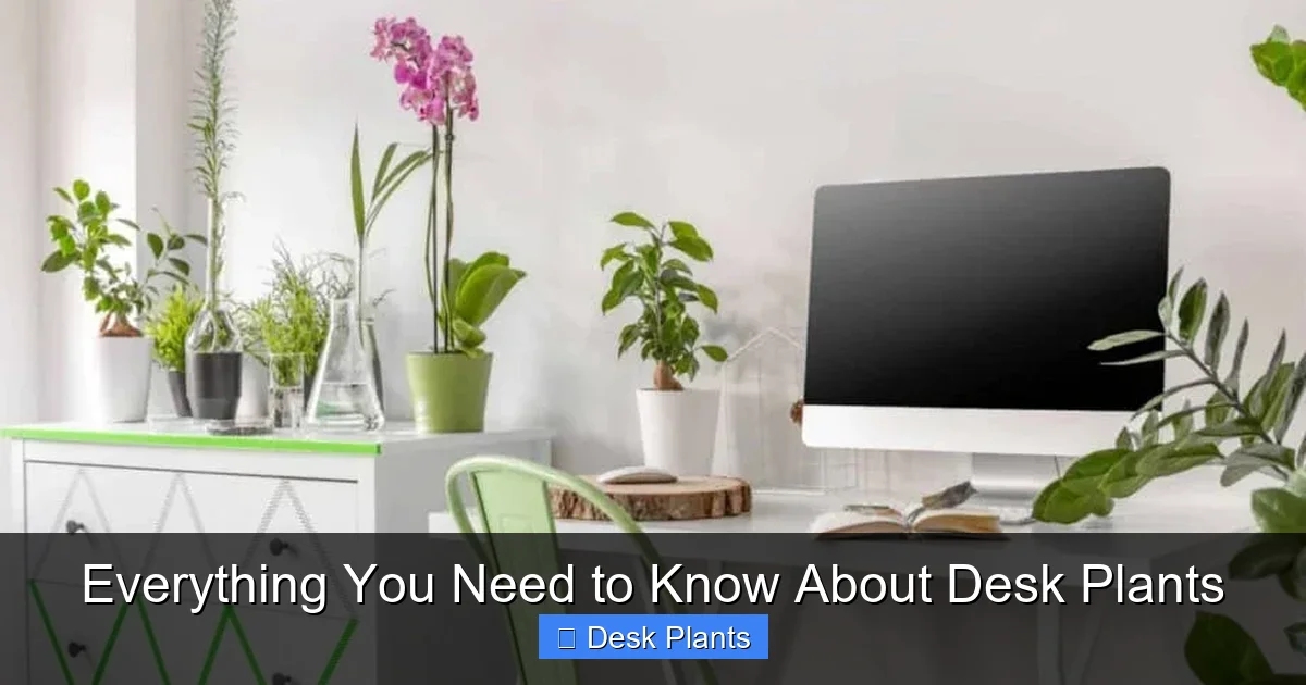 Everything You Need to Know About Desk Plants
