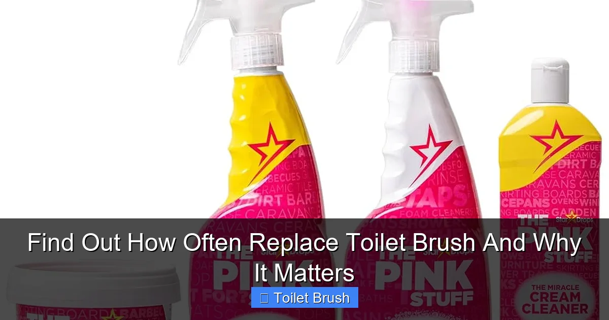 Find Out How Often Replace Toilet Brush And Why It Matters