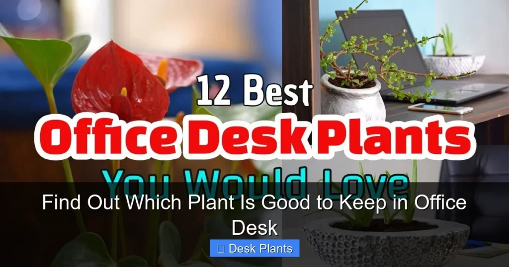 Find Out Which Plant Is Good to Keep in Office Desk