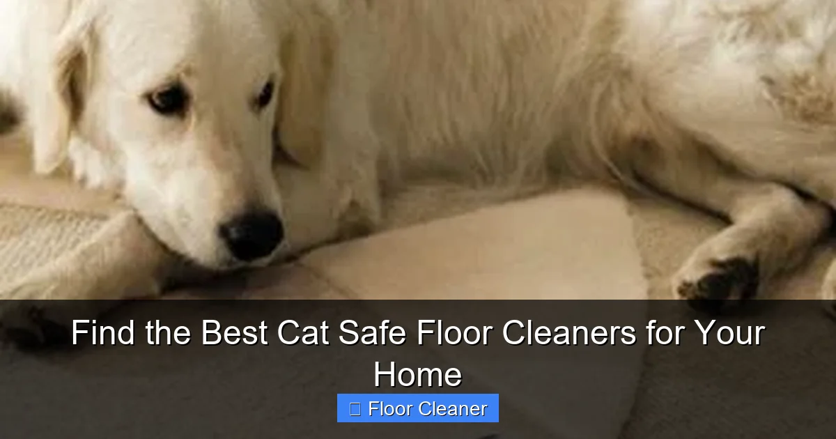 Find the Best Cat Safe Floor Cleaners for Your Home