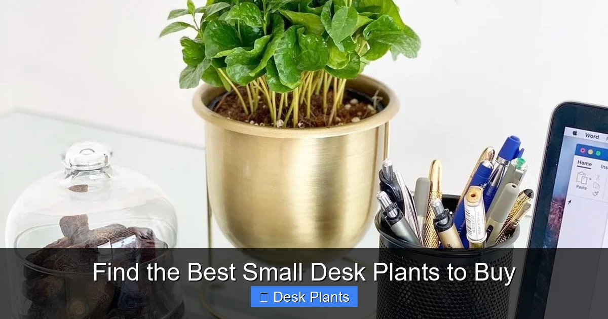 Find the Best Small Desk Plants to Buy