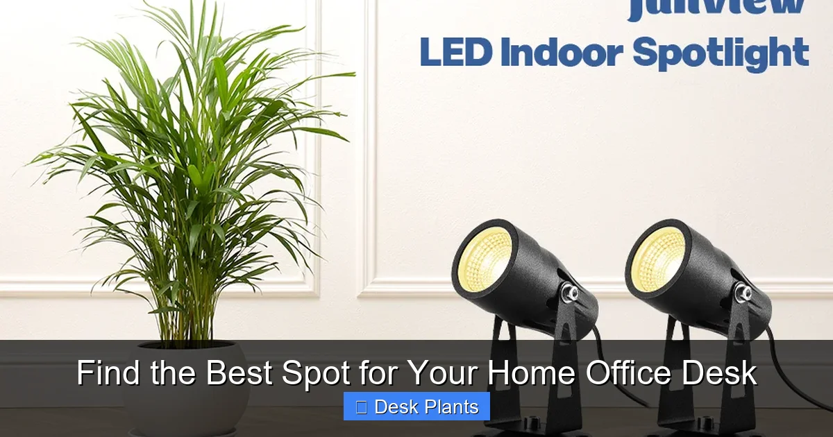 Find the Best Spot for Your Home Office Desk