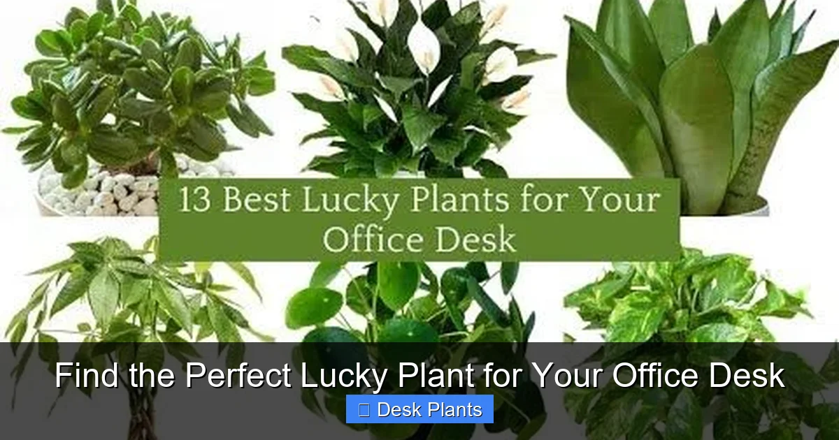 Find the Perfect Lucky Plant for Your Office Desk