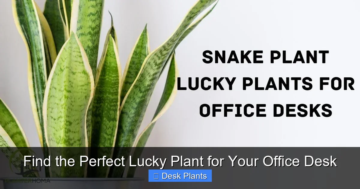 Find the Perfect Lucky Plant for Your Office Desk