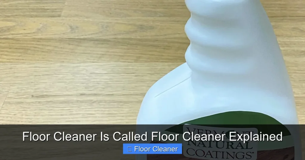 Floor Cleaner Is Called Floor Cleaner Explained