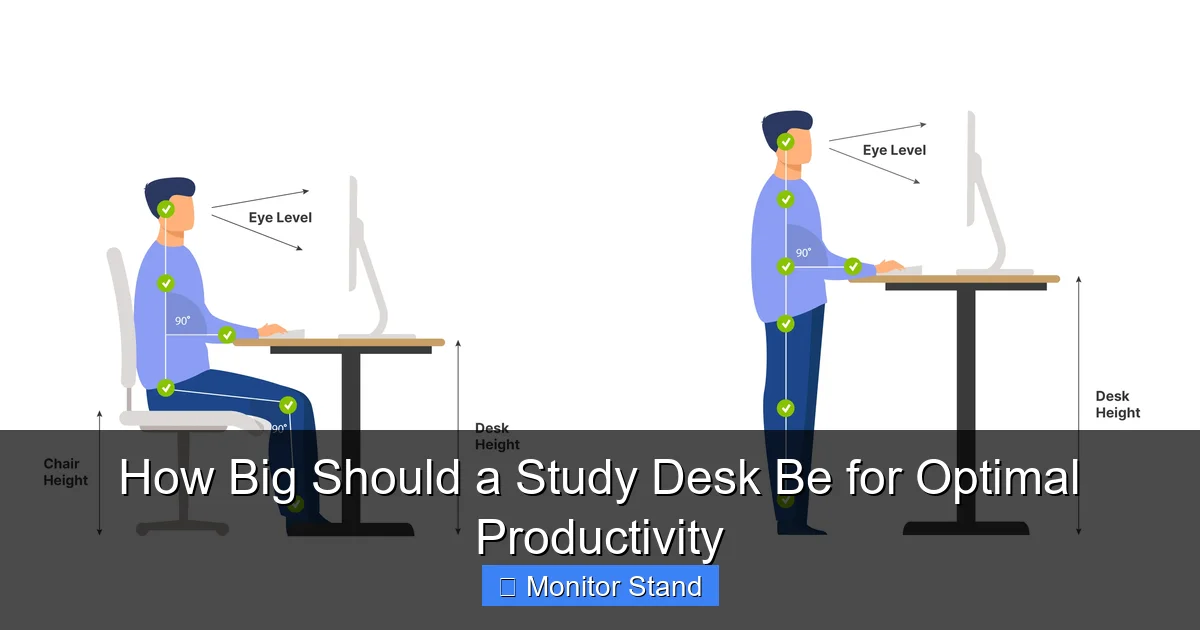 How Big Should a Study Desk Be for Optimal Productivity
