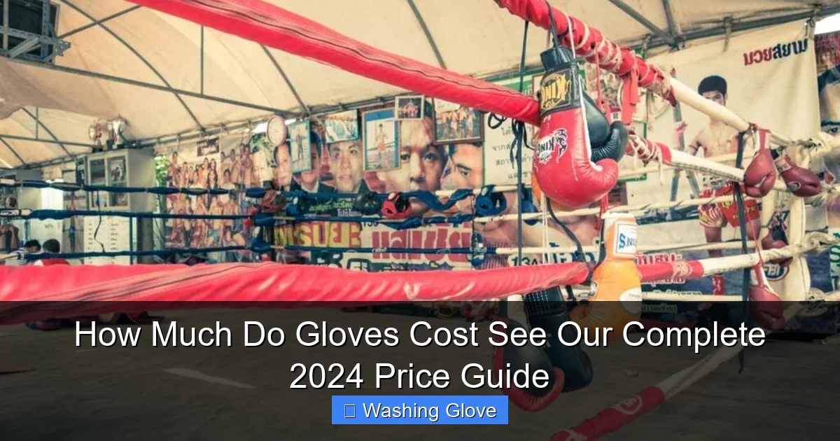 How Much Do Gloves Cost See Our Complete 2024 Price Guide
