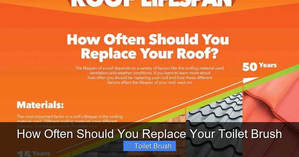 How Often Should You Replace Your Toilet Brush