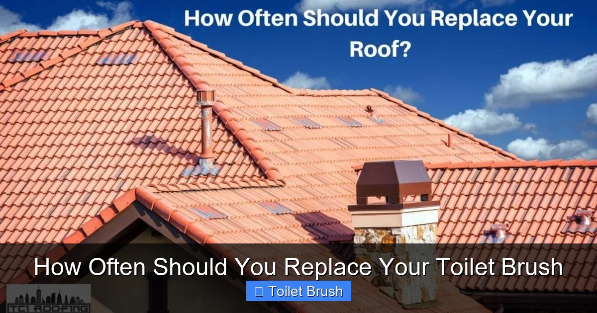 How Often Should You Replace Your Toilet Brush