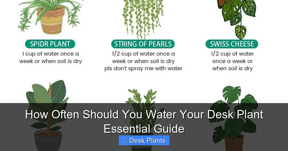 How Often Should You Water Your Desk Plant Essential Guide