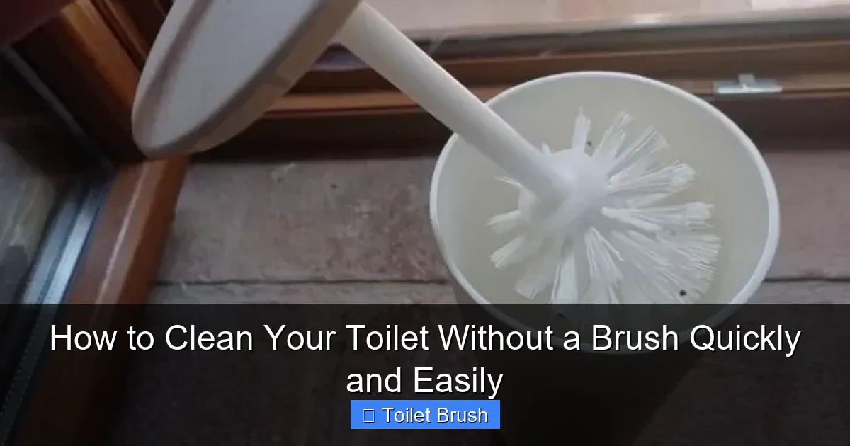 How to Clean Your Toilet Without a Brush Quickly and Easily