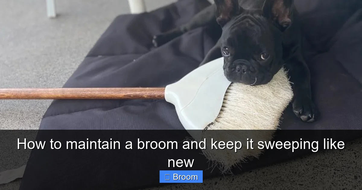 How to maintain a broom and keep it sweeping like new