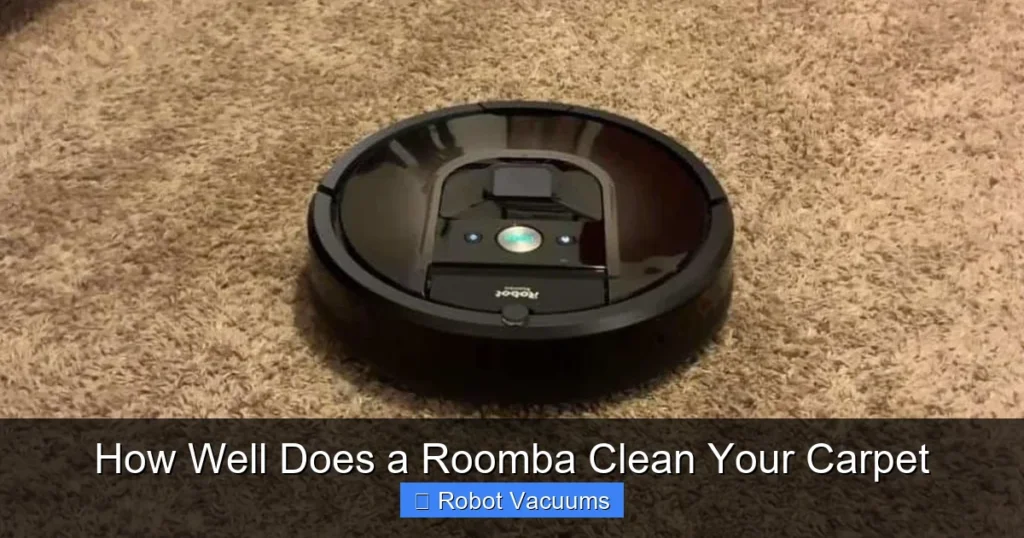 How Well Does a Roomba Clean Your Carpet