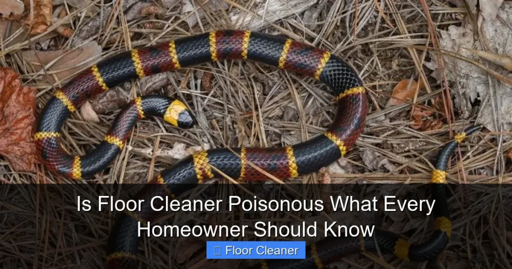 Is Floor Cleaner Poisonous What Every Homeowner Should Know