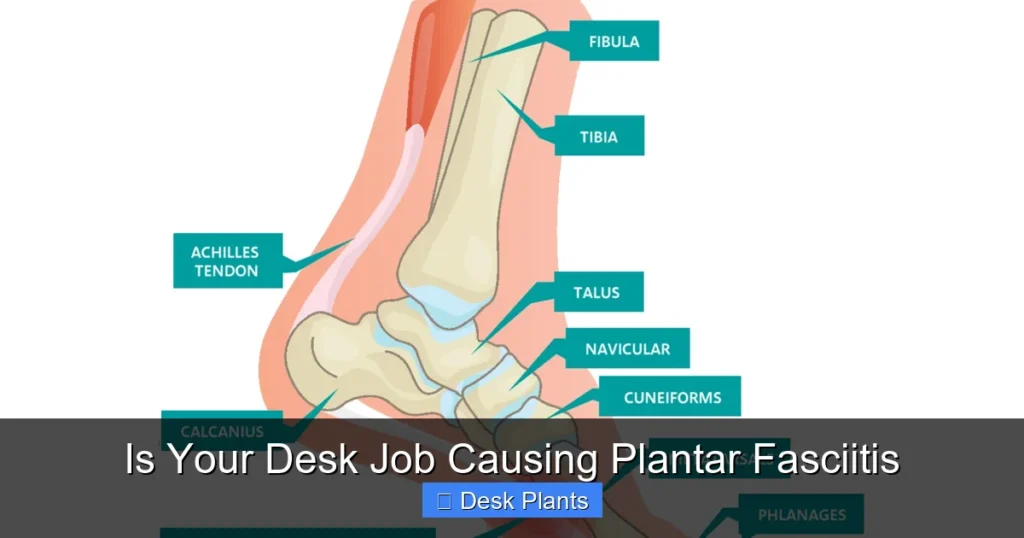Is Your Desk Job Causing Plantar Fasciitis