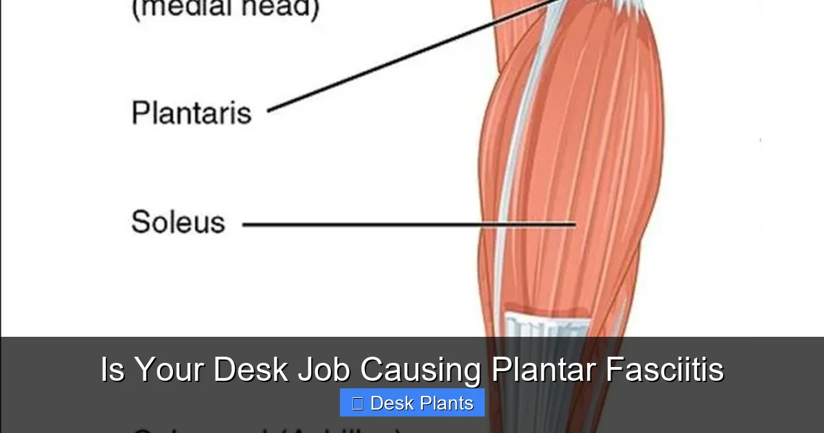 Is Your Desk Job Causing Plantar Fasciitis