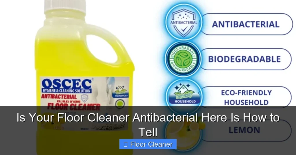 Is Your Floor Cleaner Antibacterial Here Is How to Tell