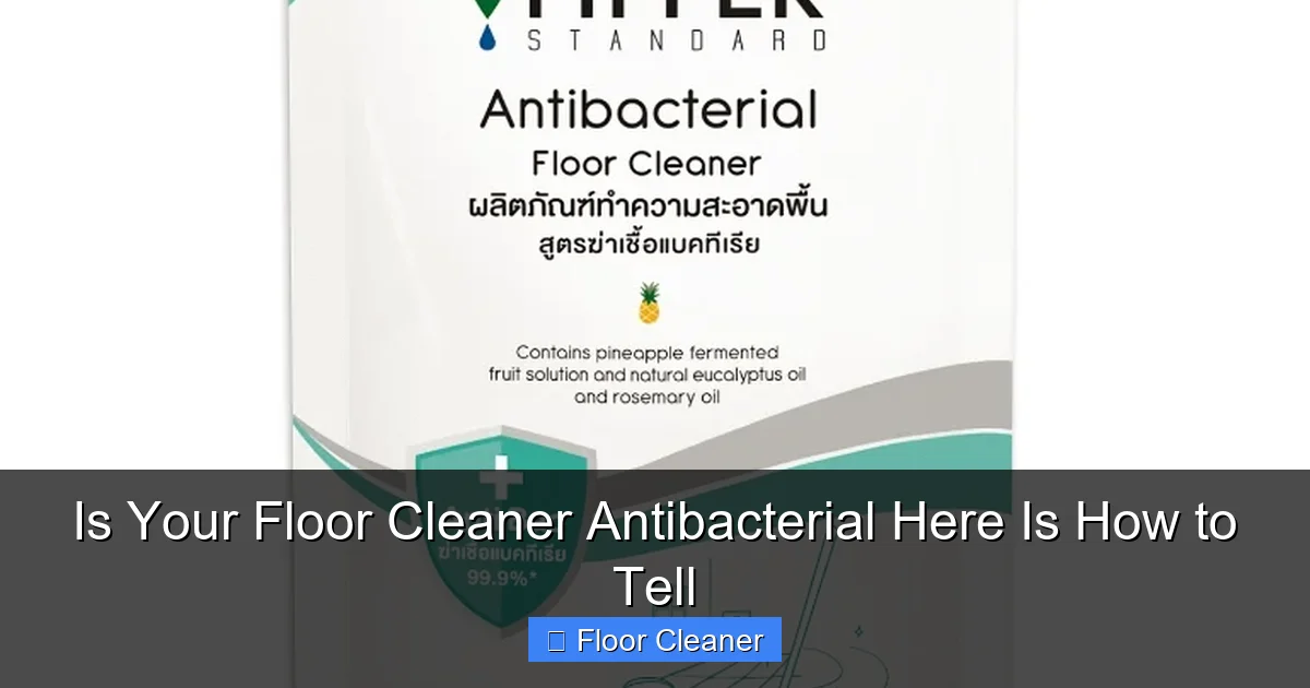Is Your Floor Cleaner Antibacterial Here Is How to Tell