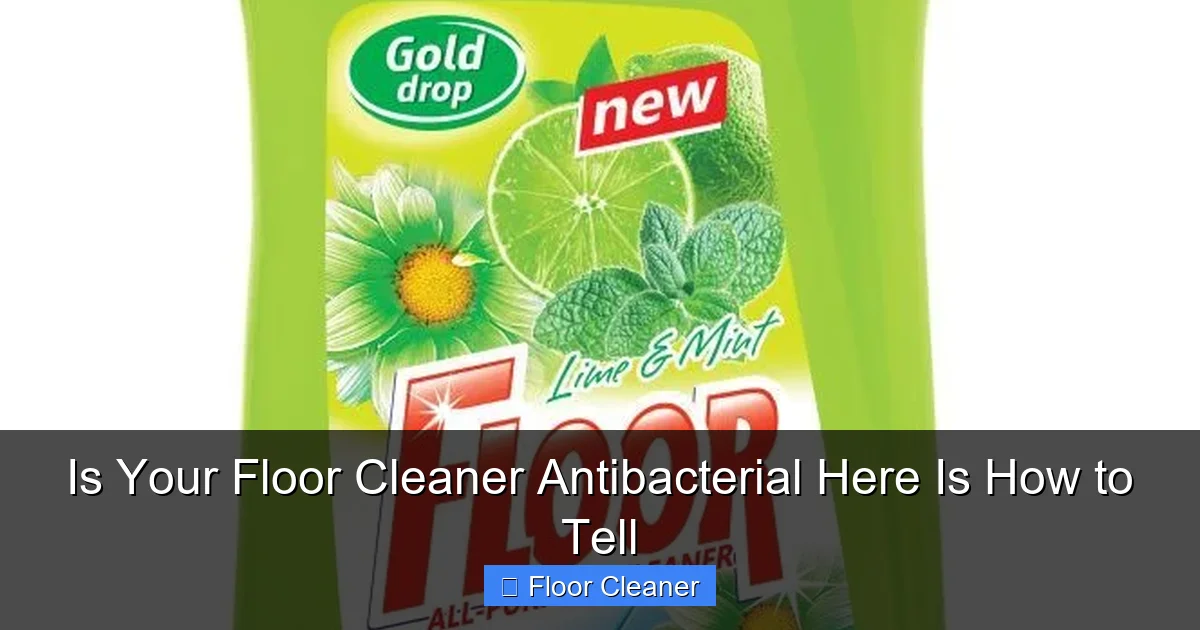 Is Your Floor Cleaner Antibacterial Here Is How to Tell