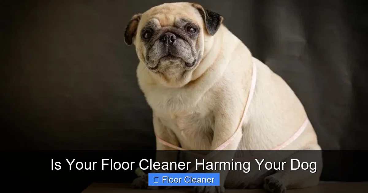 Is Your Floor Cleaner Harming Your Dog