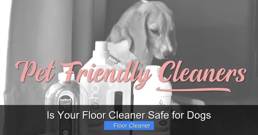 Is Your Floor Cleaner Safe for Dogs
