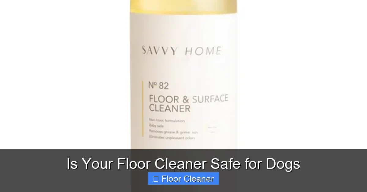 Is Your Floor Cleaner Safe for Dogs
