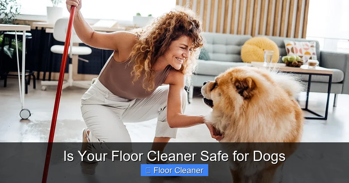 Is Your Floor Cleaner Safe for Dogs