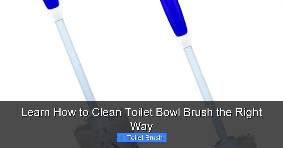 Learn How to Clean Toilet Bowl Brush the Right Way