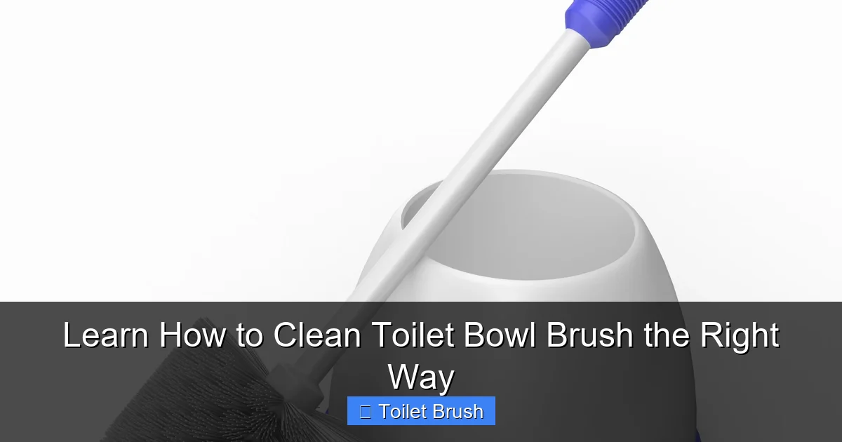 Learn How to Clean Toilet Bowl Brush the Right Way