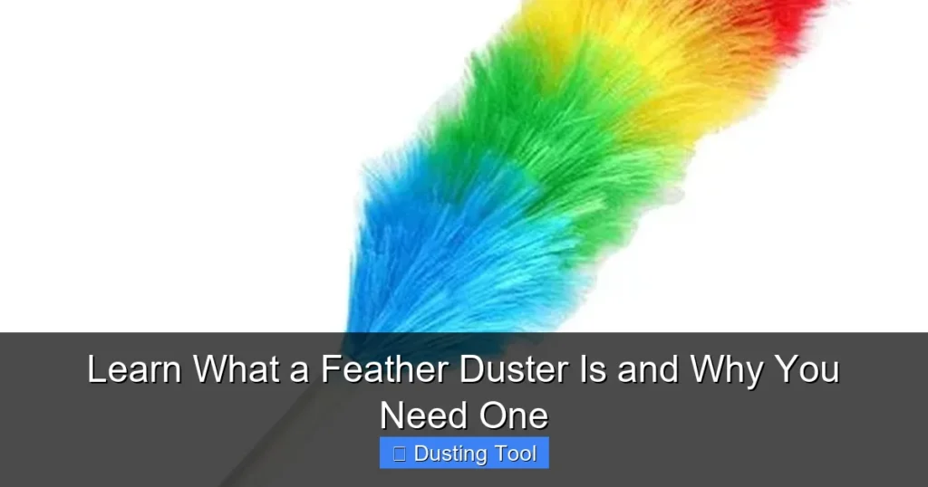 Learn What a Feather Duster Is and Why You Need One